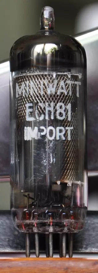 ECH 81