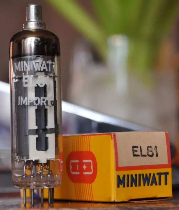 EL 81