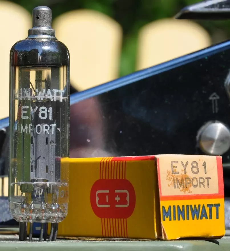 EY 81