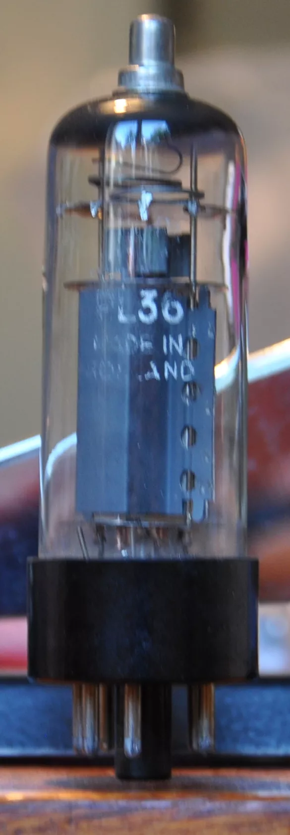 PL 36