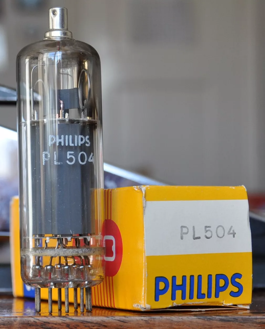 PL 504