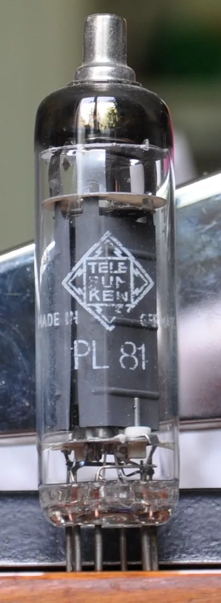 PL 81