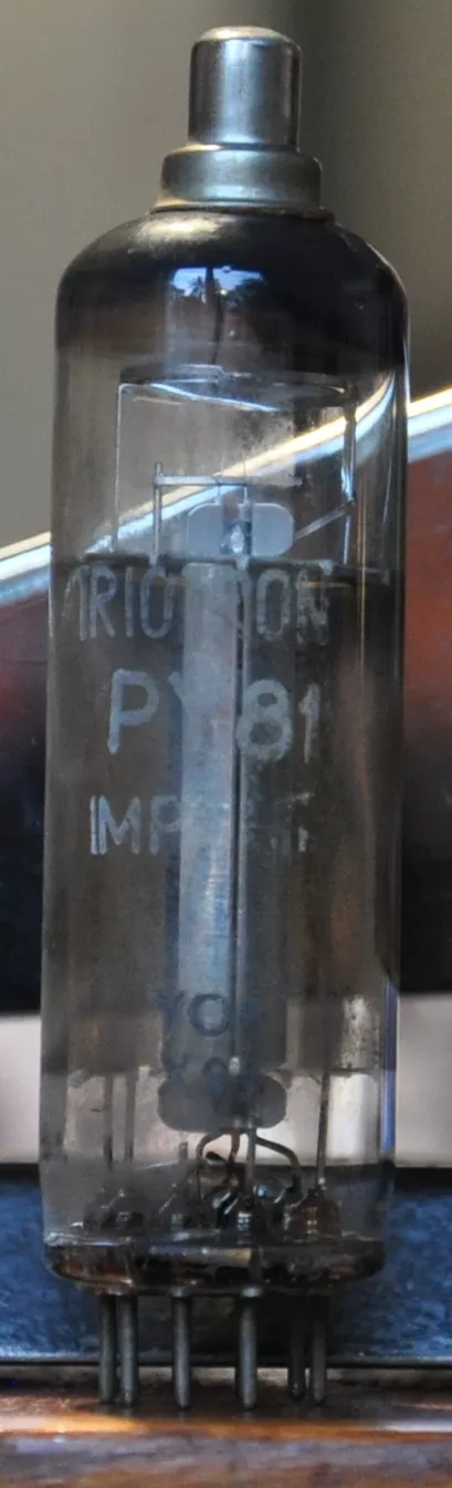 PY 81